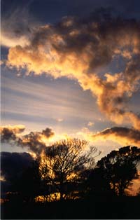 sunset outside my mums house